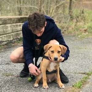 ! ALL THINGS NEGOTIABLE !